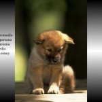Slide03