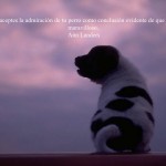 Slide06